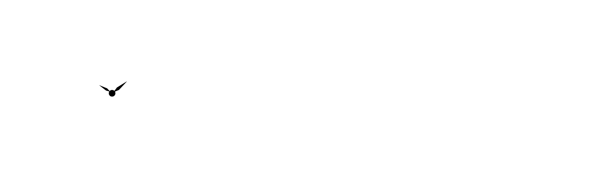 Watch Stream Inc. | Wholesale Watches, Sunglasses & Perfumes